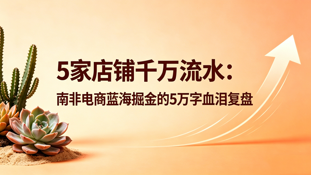 All in Takealot一年，5家店铺千万流水：南非电商蓝海掘金的5万字血泪复盘