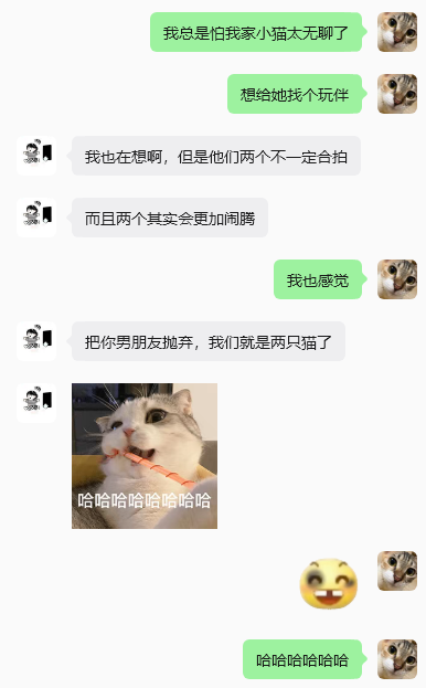跨境老板必看！香港公司+电商入驻这个黄金组合太香了！
